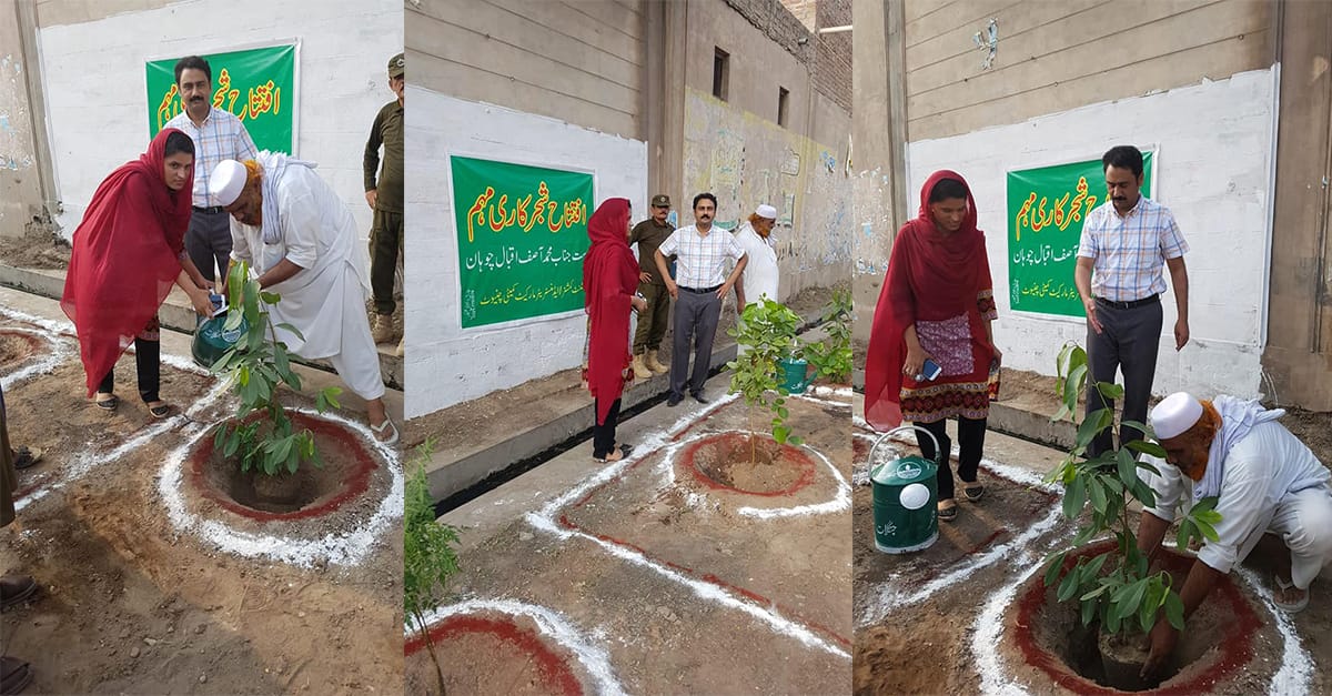 سیکرٹری مارکیٹ کمیٹی نازیہ فریدگرین بیلٹ مارکیٹ کمیٹی میں پودے لگا کر شجر کاری مہم کا آغاز کرتے ہوئے