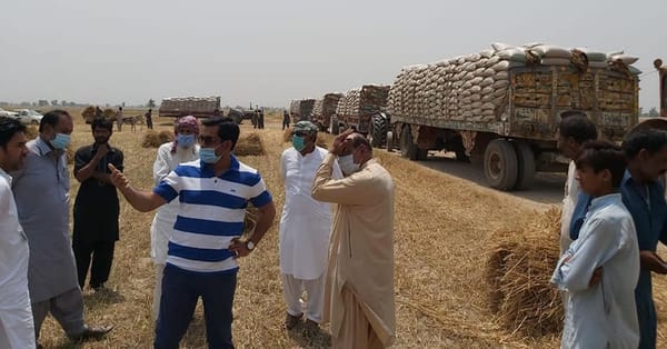 چنیوٹ میں گندم کے 9500 تھیلے سمگل ہونے کی کوشش ناکام