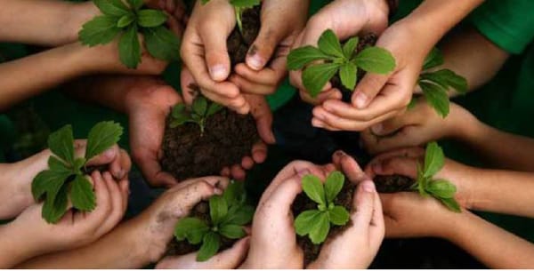 گرین / سرسبز پاکستان کیلئے ملک بھر میں شجر کاری مہم کا آغاز کردیا گیا ہے